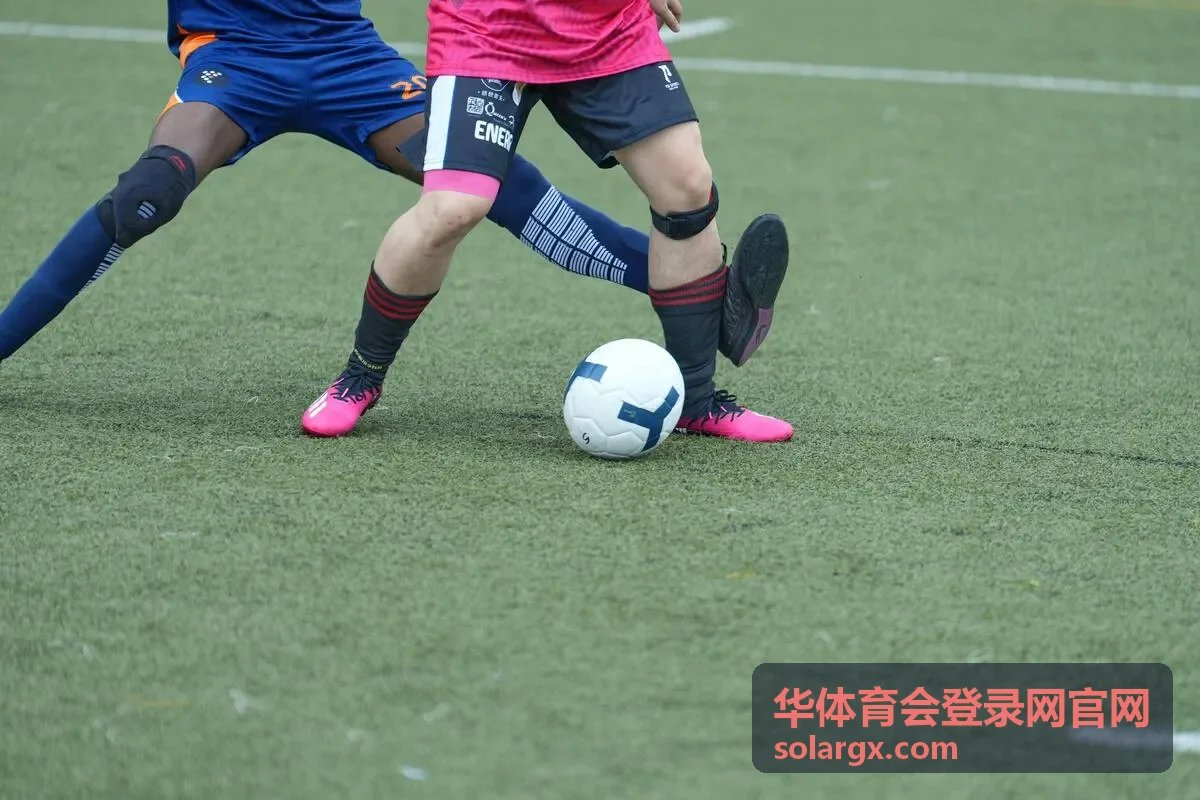 华体育会登录网官网服务指引与内容频道示意图